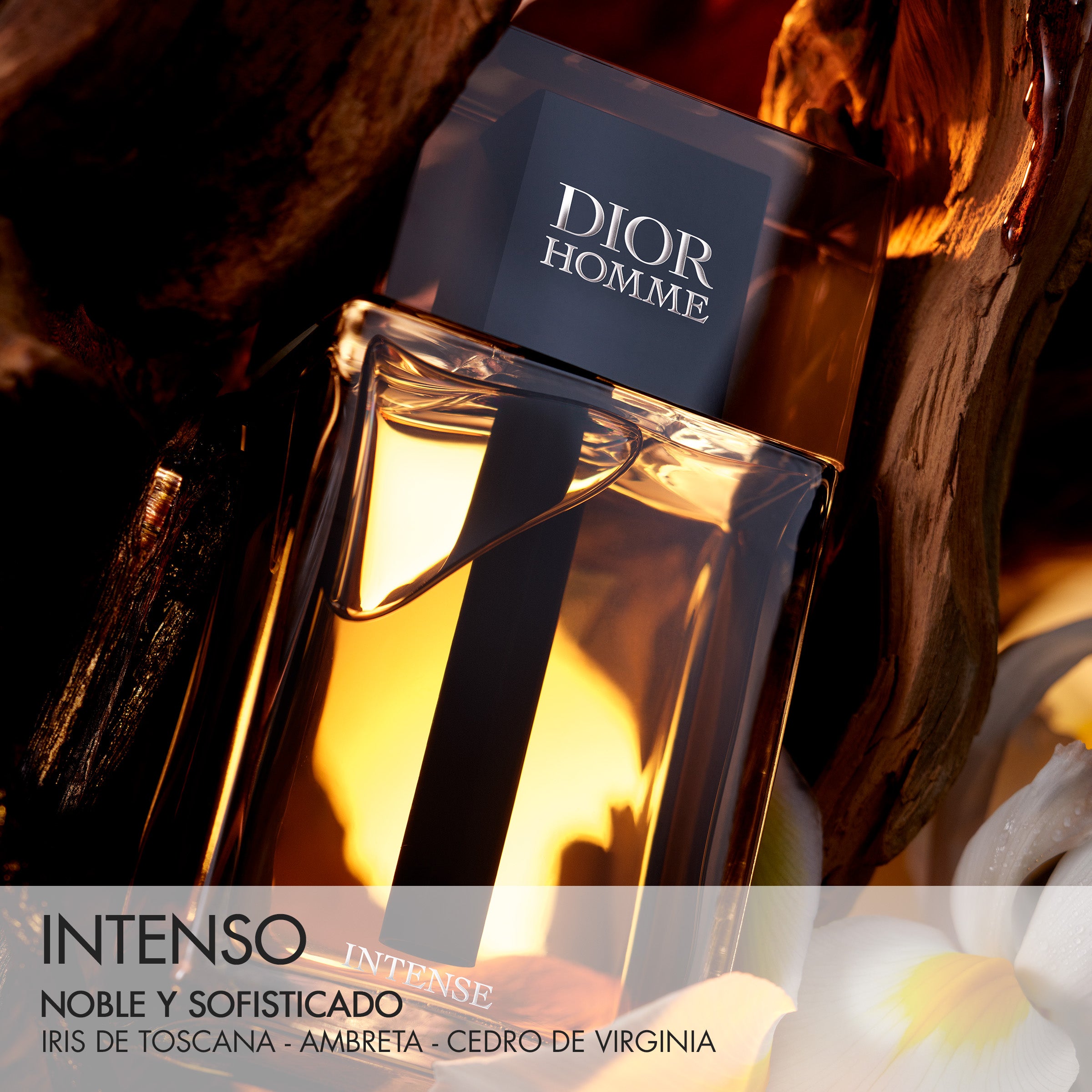 Dior Homme Intense Eau de Parfum Intense para homem