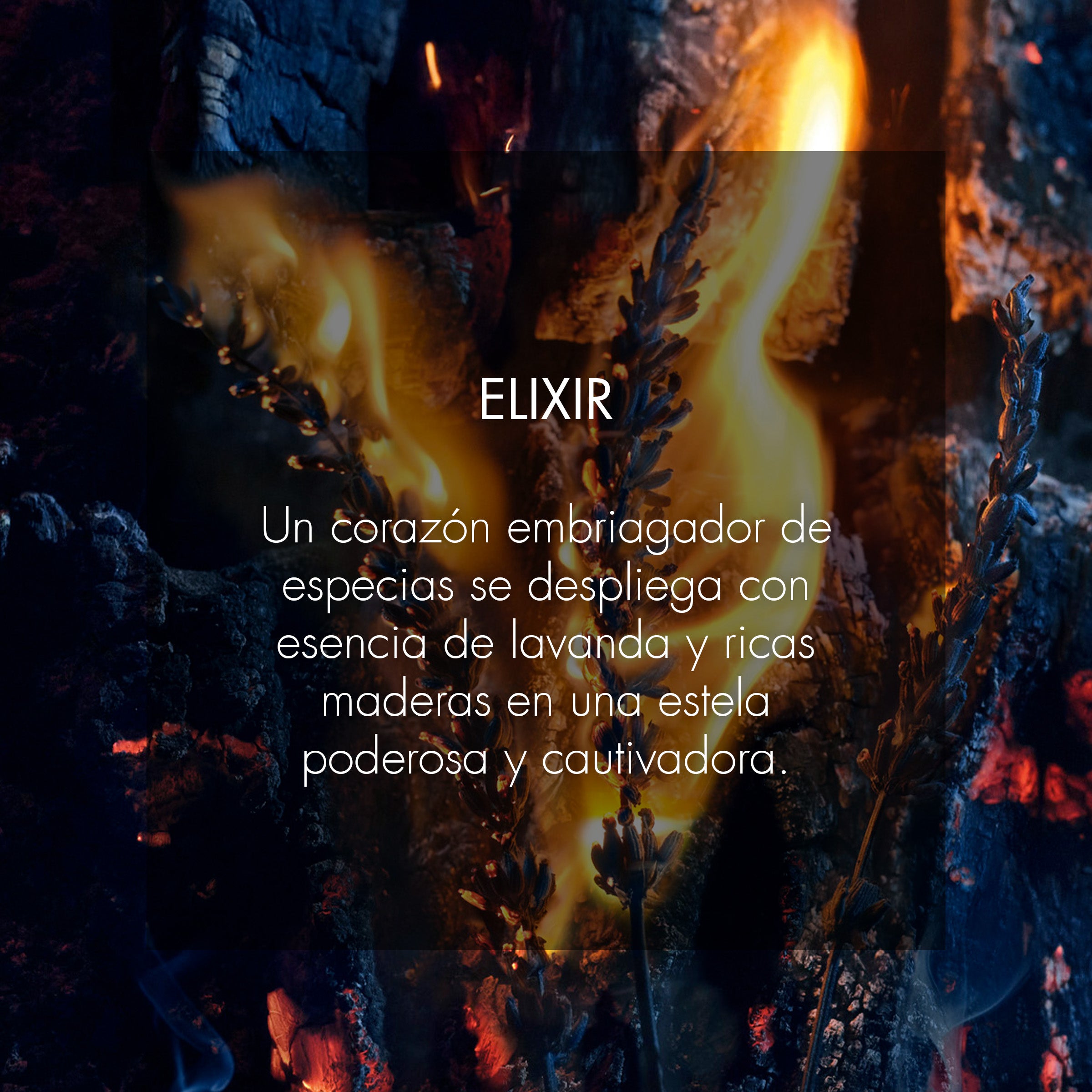 Dior Sauvage Elixir Parfum