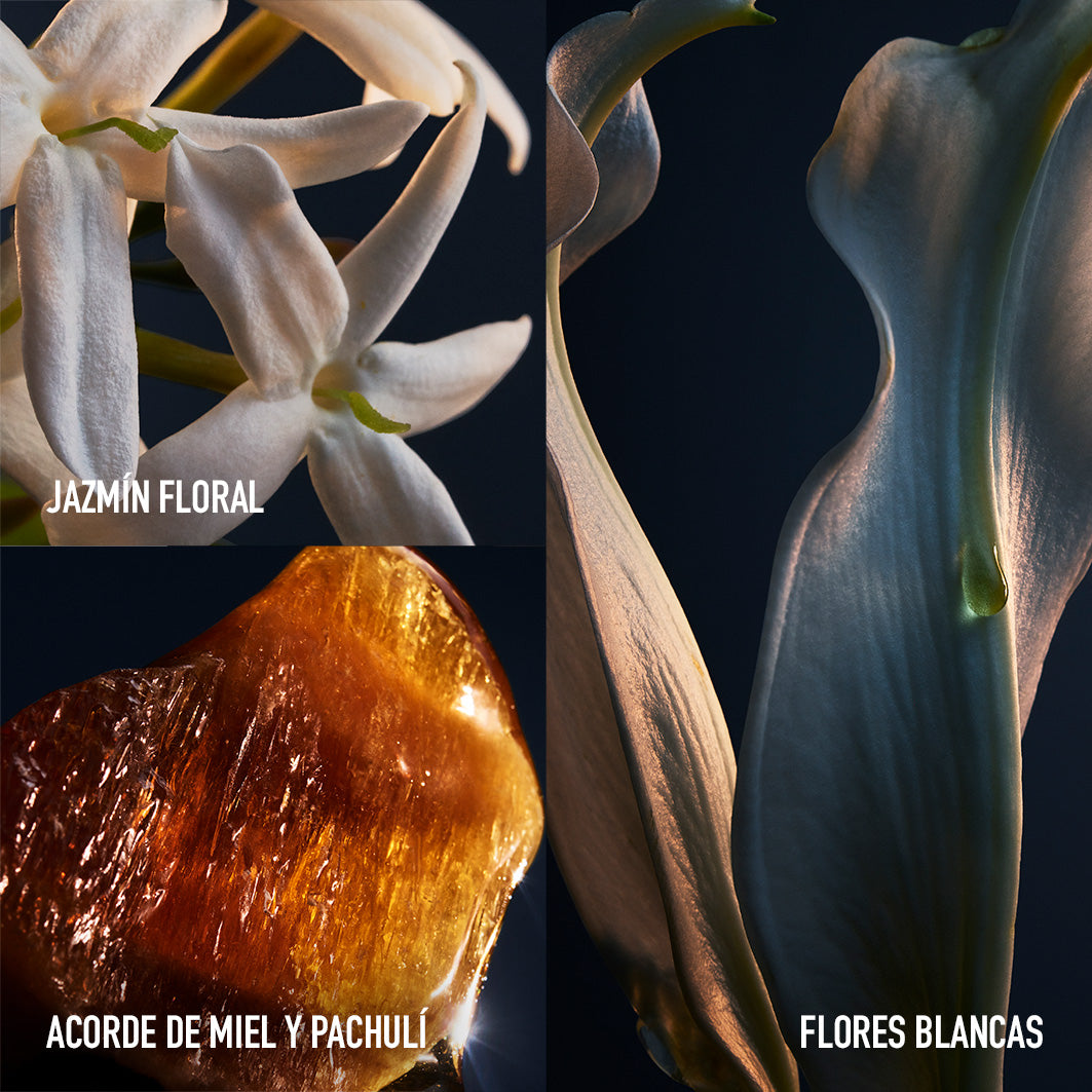 Lady Million Eau de Parfum para Mulher