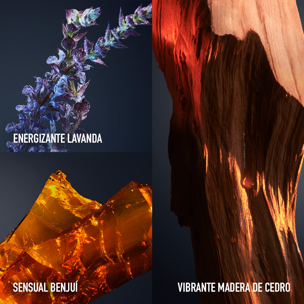 One Million Royal Eau de Parfum Perfume Masculino