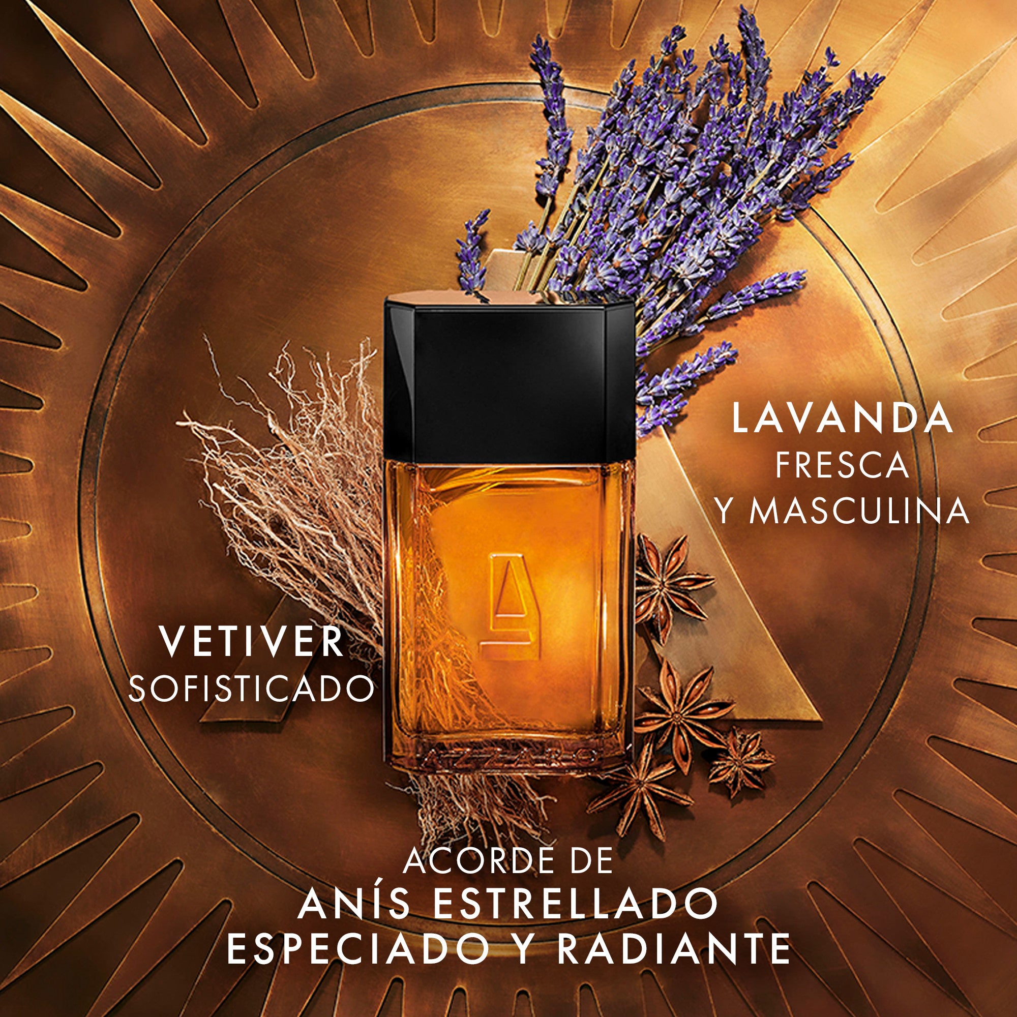 Azzaro Pour Homme Eau de Toilette para homem