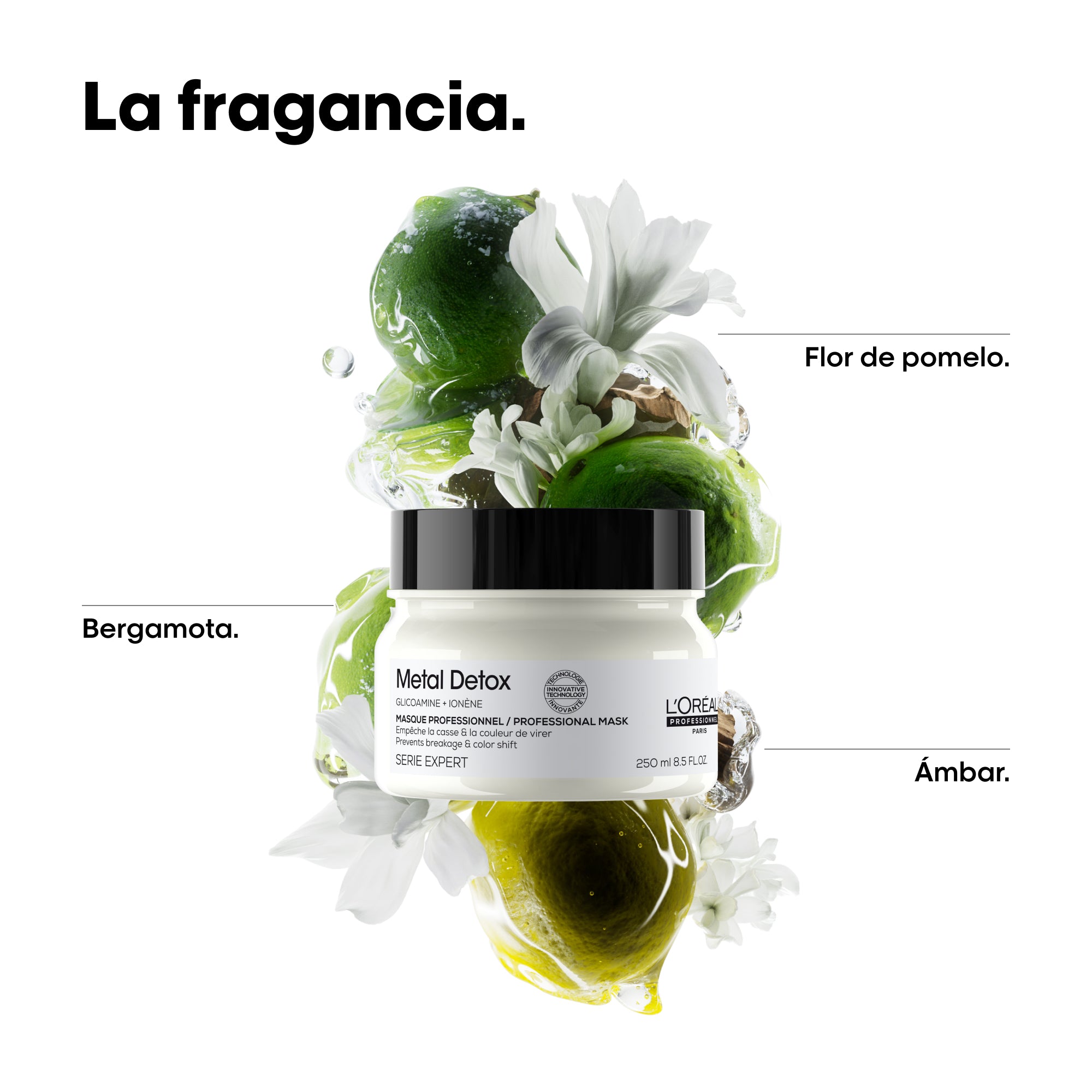 Metal Detox Máscara Capilar