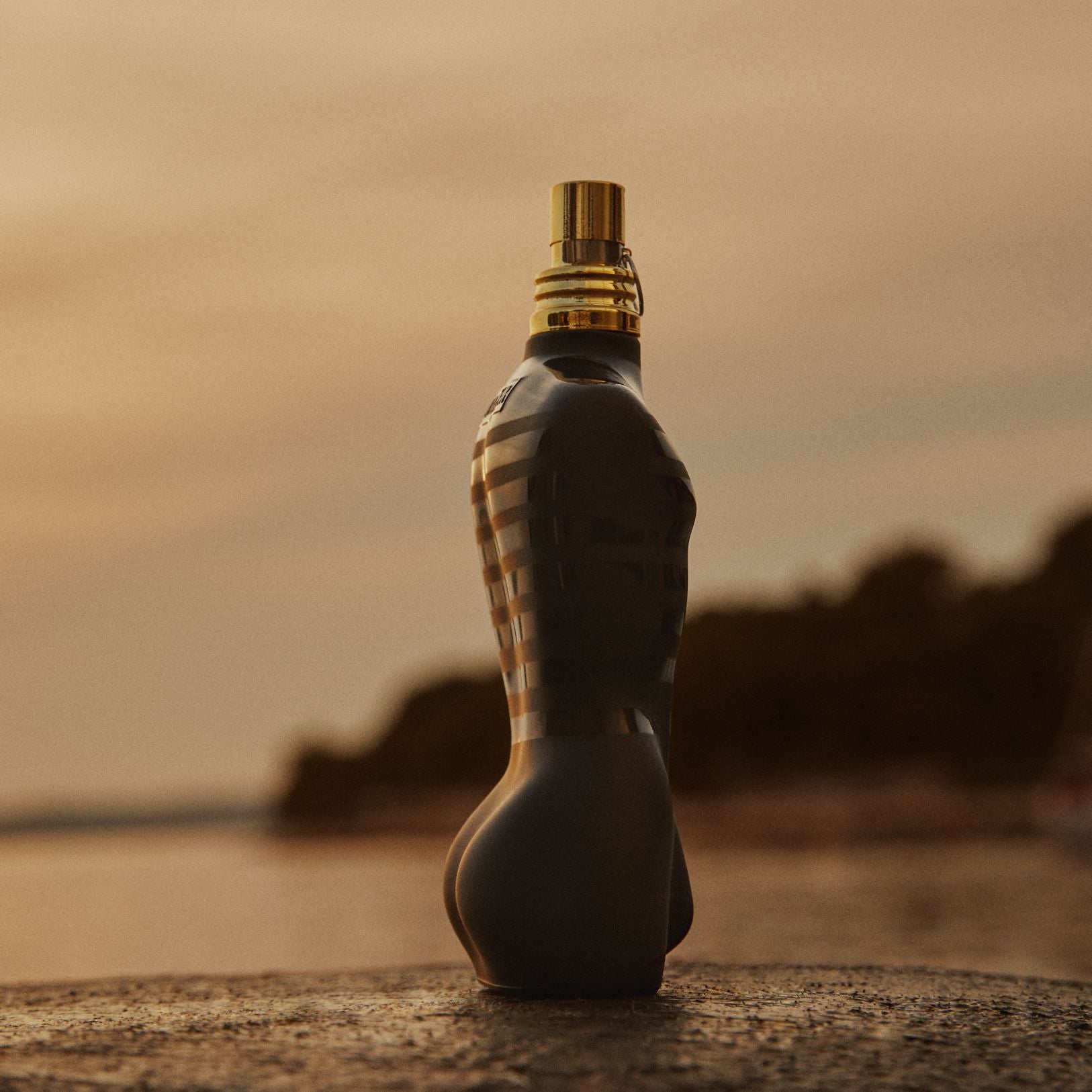 Le Male Le Parfum Eau de Parfum