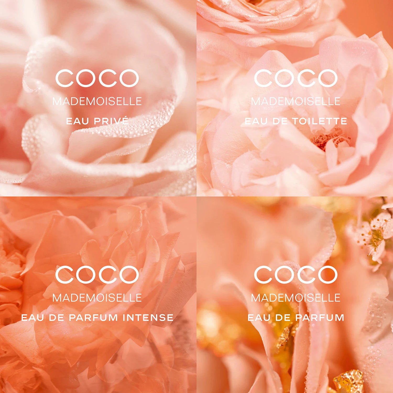 Chanel Coco Mademoiselle