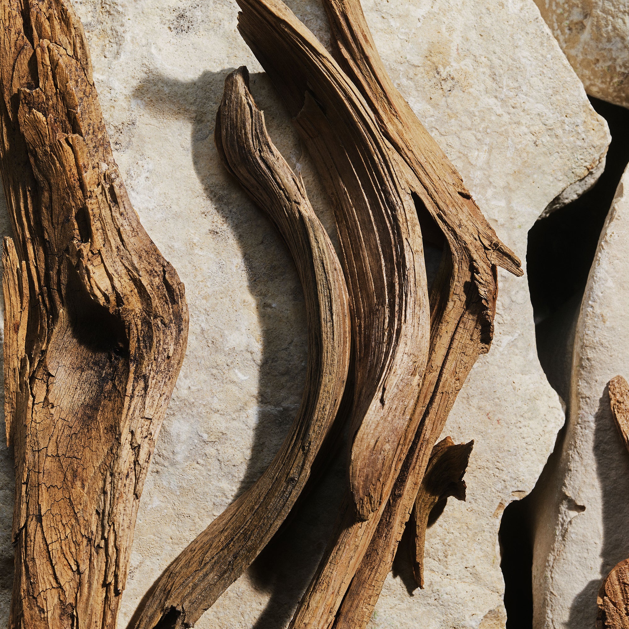 Light Blue Eau de Toilette