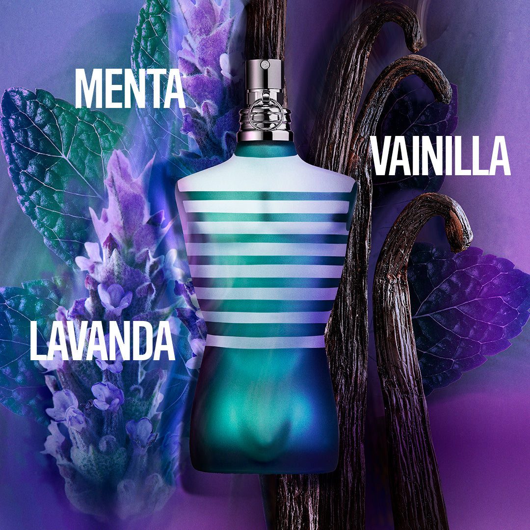 Le Male Eau de Toilette