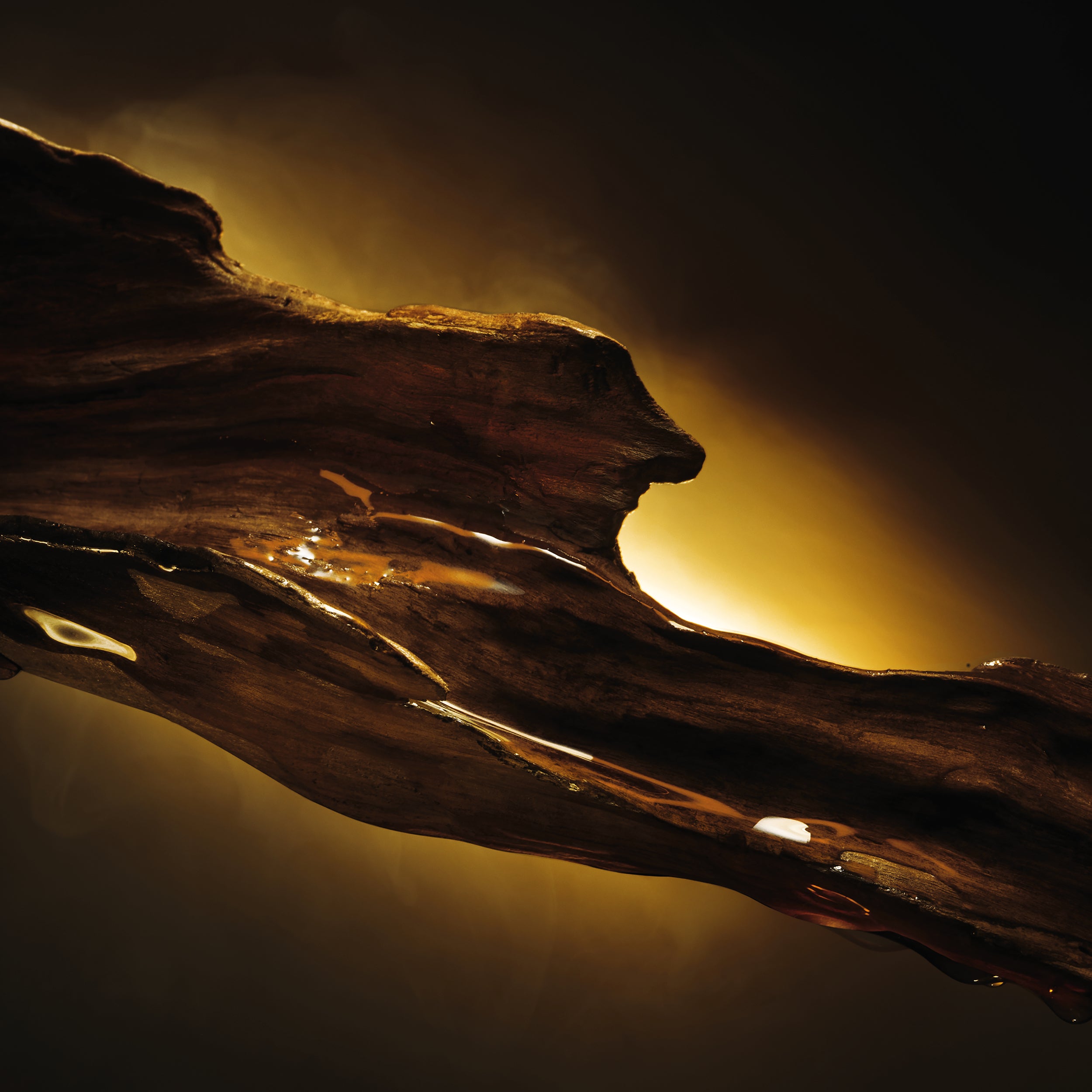 Boss Bottled Elixir Perfume Intenso para Homem