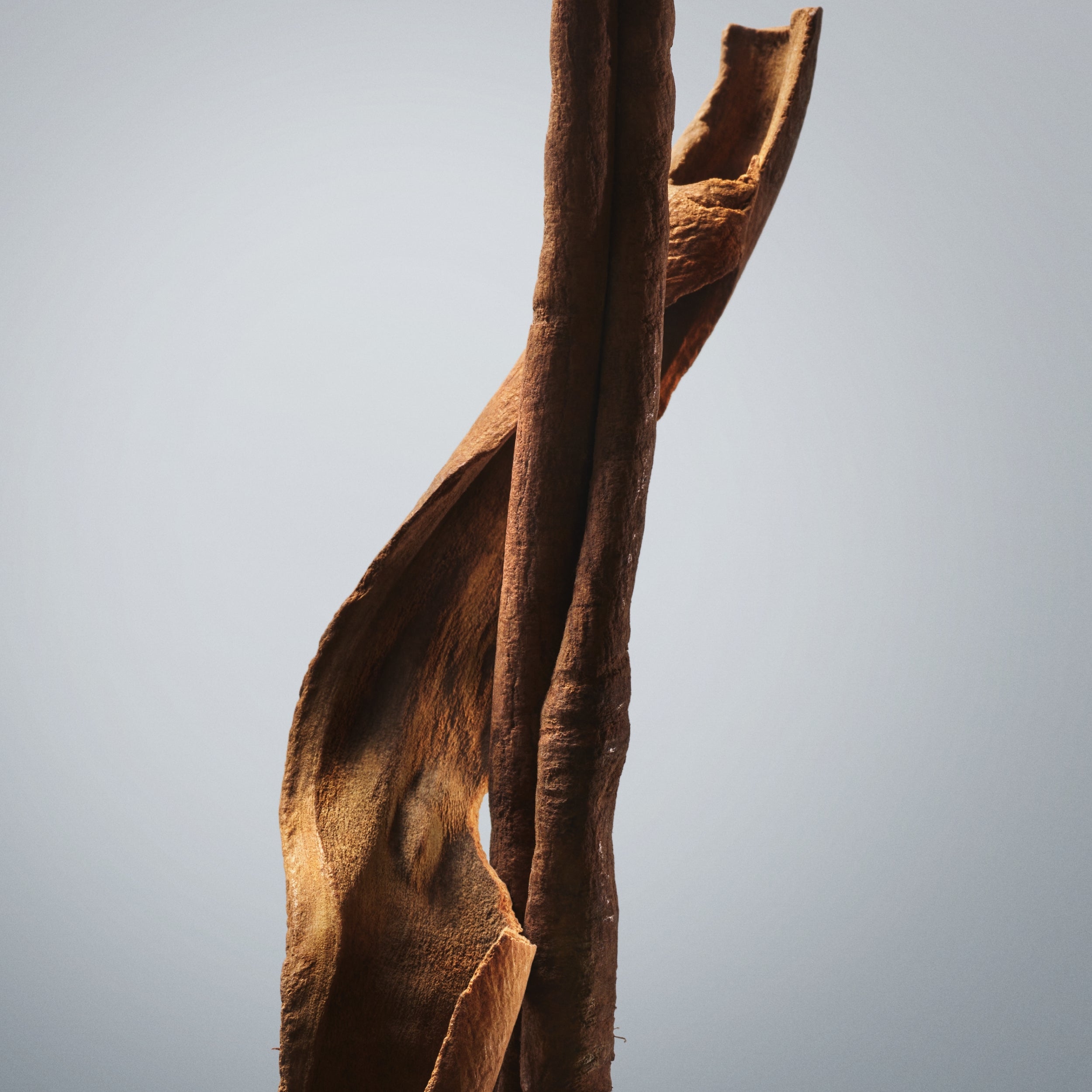 Boss Bottled Eau de Toilette