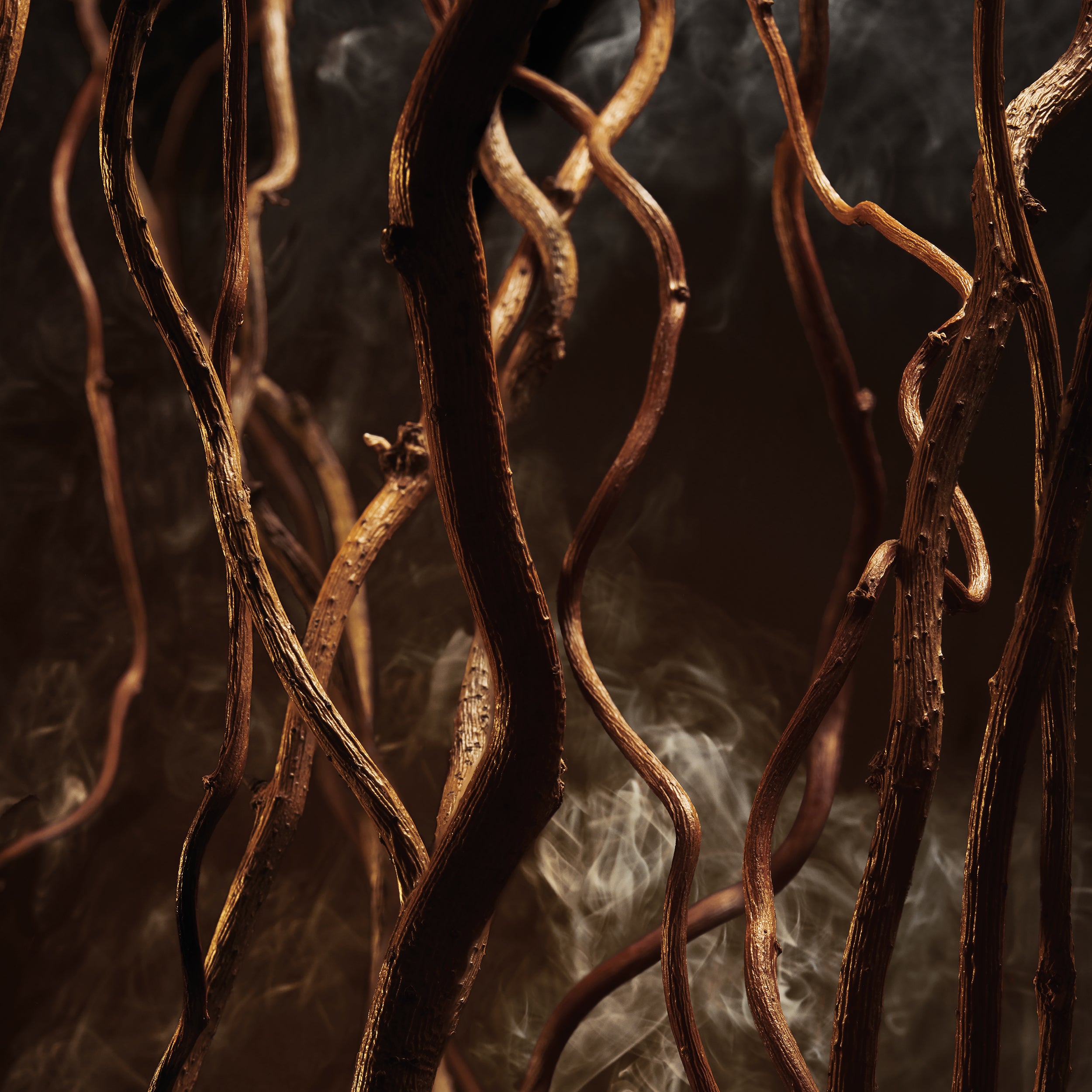 Boss Bottled Elixir Perfume Intenso para Homem