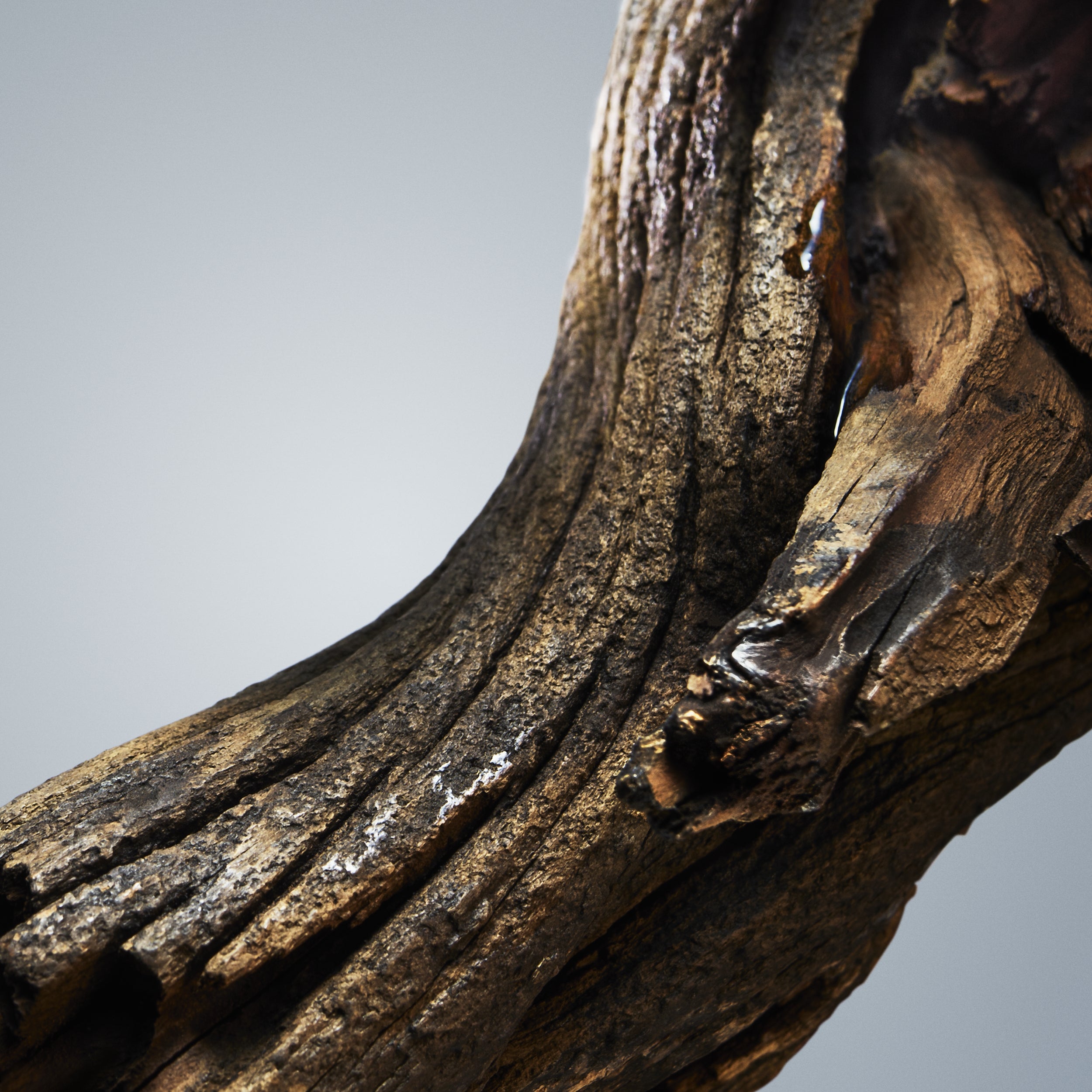 Boss Bottled Eau de Toilette