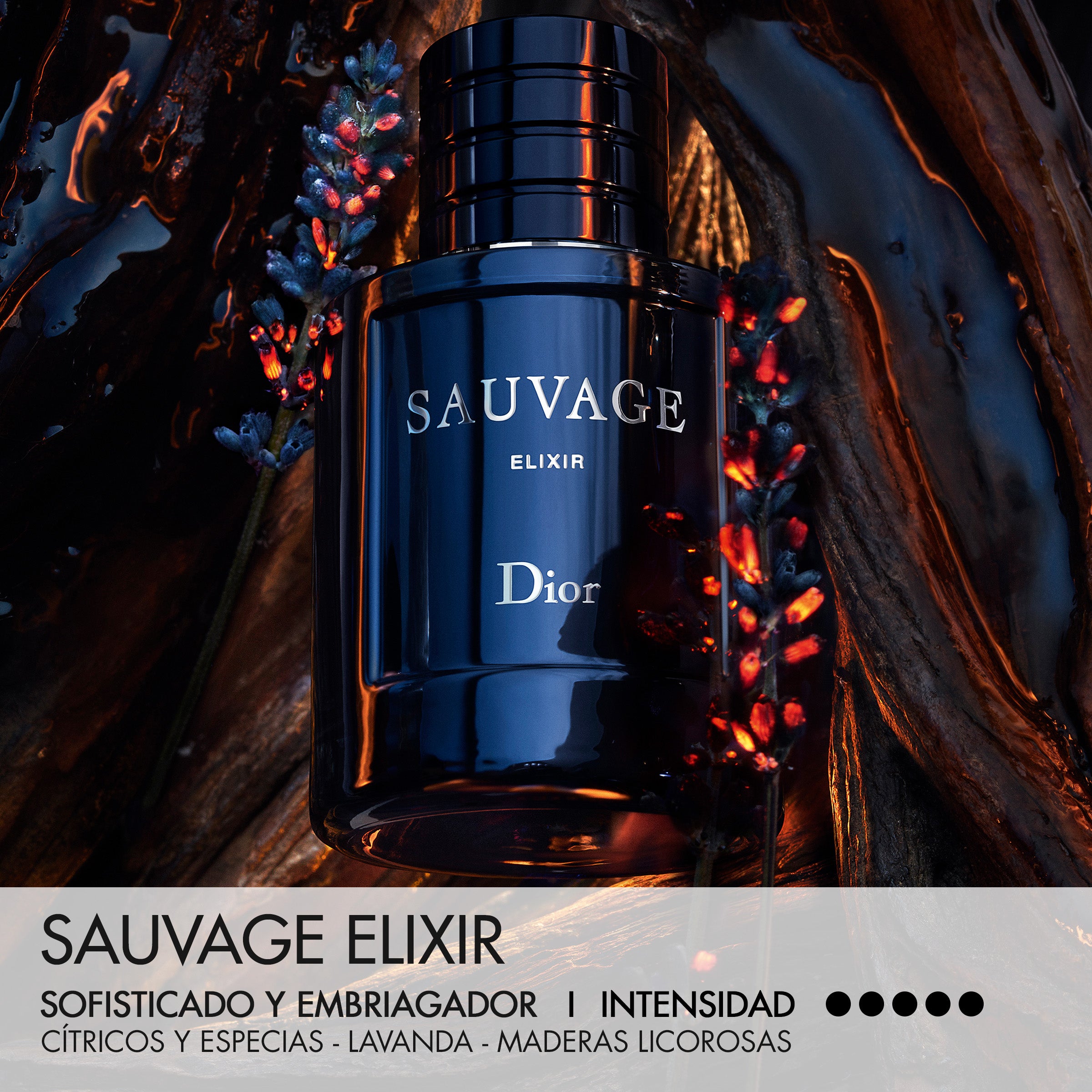Dior Sauvage Elixir Parfum