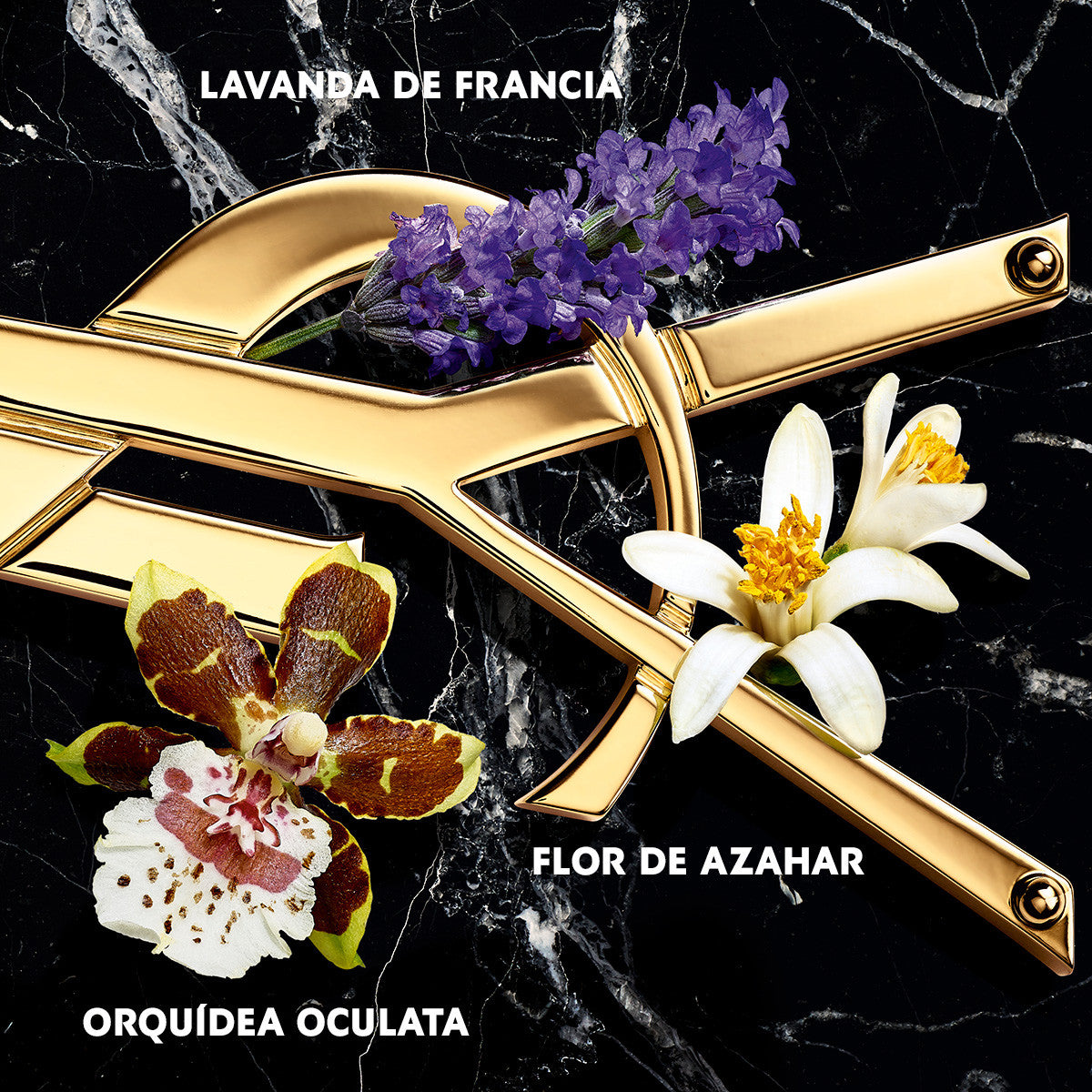 Yves Saint Laurent Libre Intense Eau de Parfum para mulher