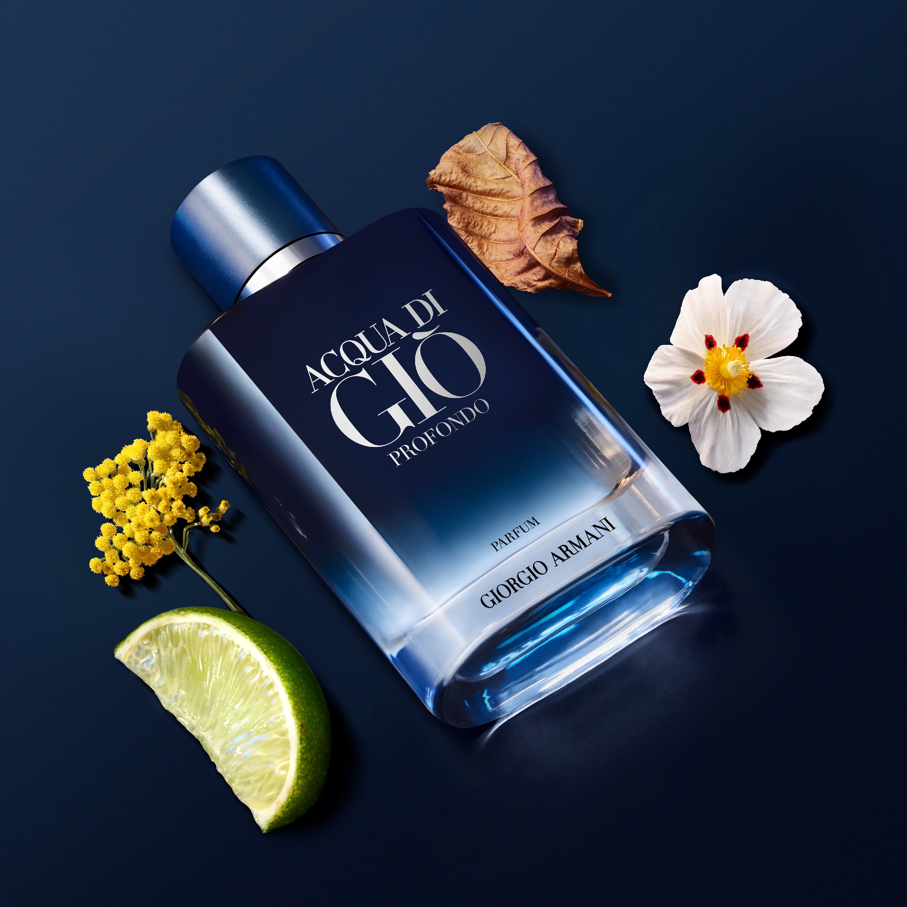 Acqua Gio Homme Profondo Parfum