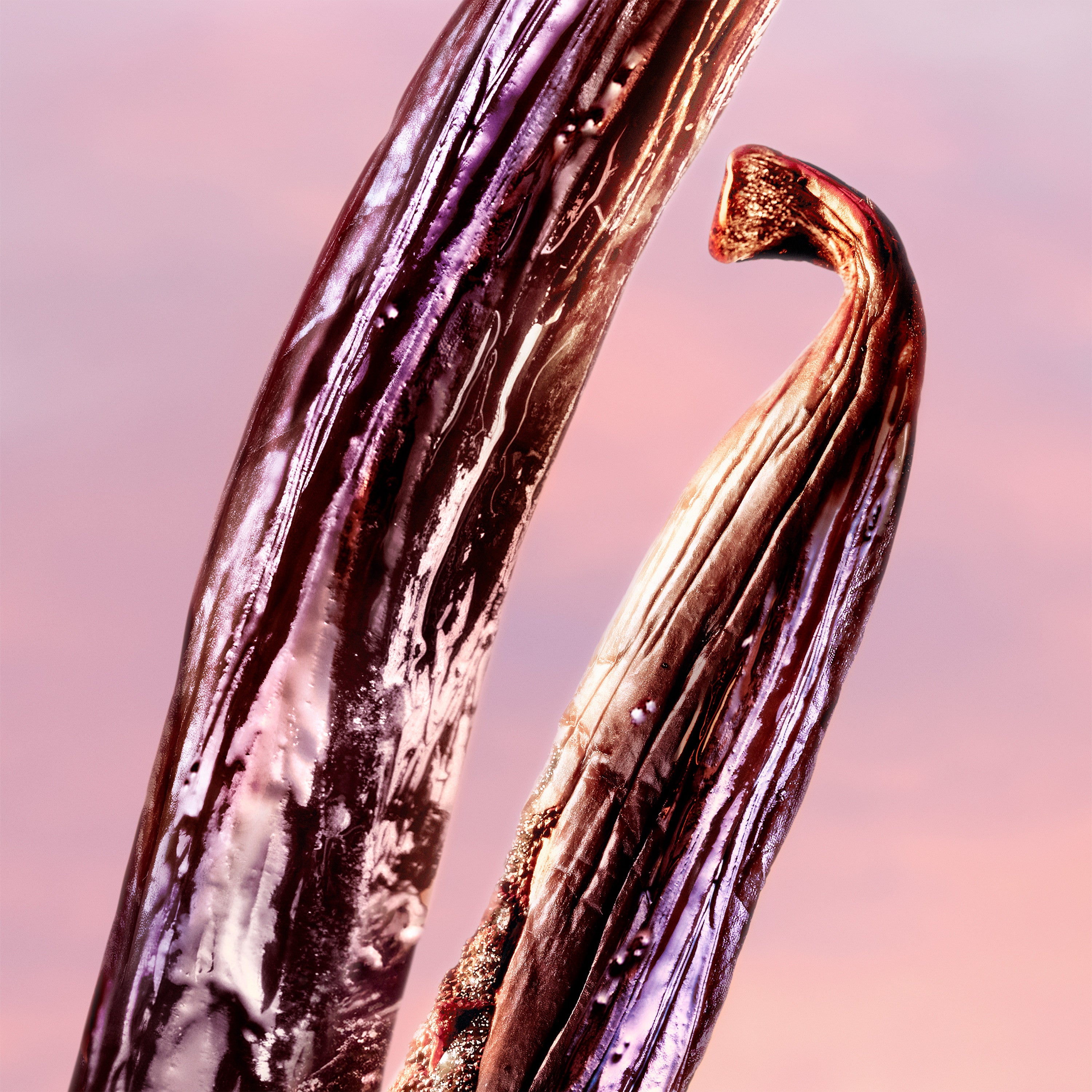 La Vie est Belle Vanille Nude Eau de Parfum