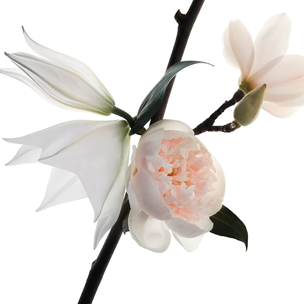 Mon Paris Eau de Parfum