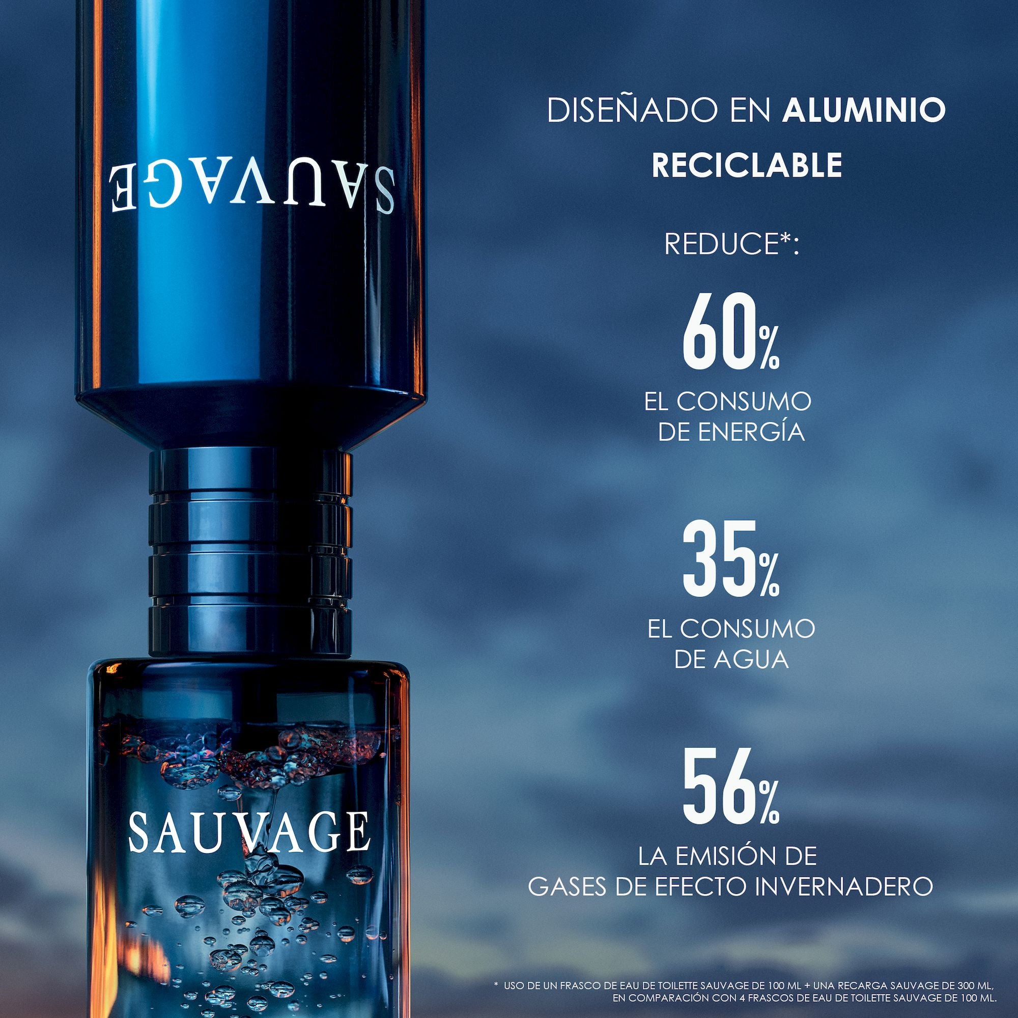 Sauvage Eau de Toilette