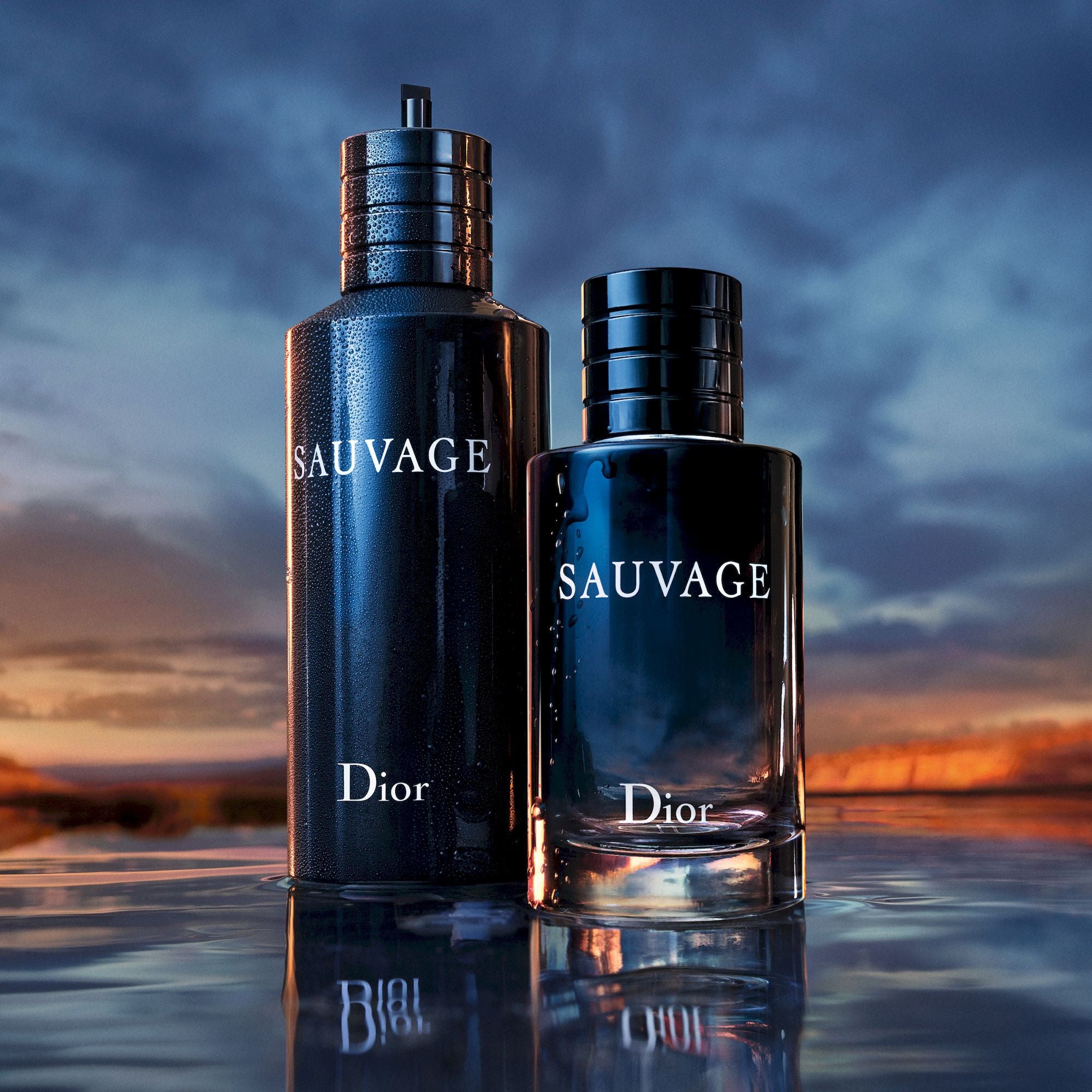 Sauvage Eau de Toilette