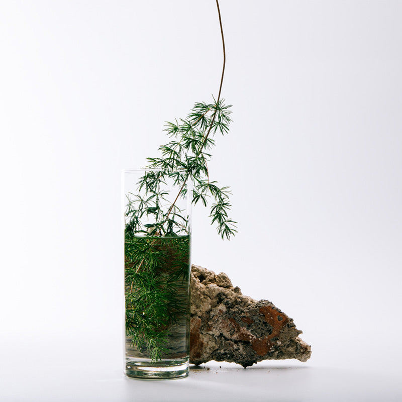 Loewe Apenas Loewe Cedro Eau de Toilette para homem